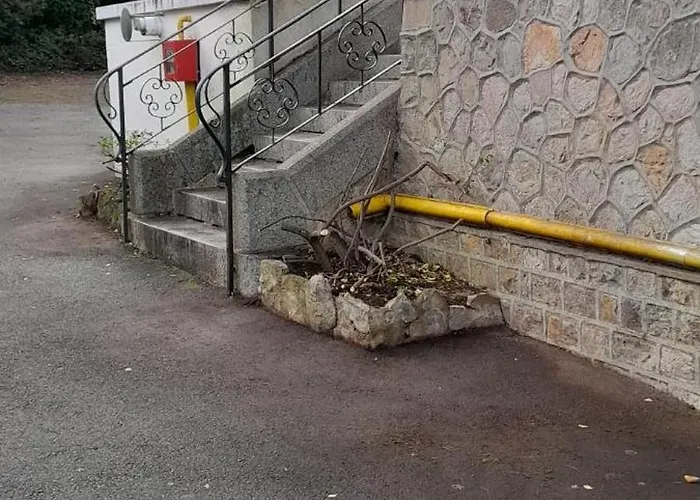 Dolce Notte - Les Douces Nuits